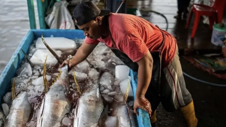pak fish